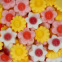 Haribo Fleurs Colorées - 10 pcs